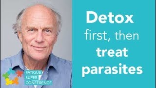 Detox first then treat parasites  Dr Klinghardt [upl. by Gorey]