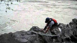 Dipnetting in Chitina Alaska 2010 [upl. by Ginnie112]