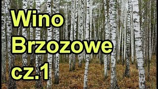 Wino Brzozowe  przepis  Wino oskołowe  Wino z Brzozy cz1 [upl. by Aremat]