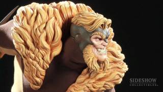 Backstage Pass Sabretooth Premium Format Figure [upl. by Ailaht]