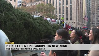 Rockefeller tree arrives in NYC [upl. by Aidaas]