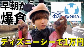 【朝から大食い】ディズニーシーにご飯だけ食べに行って好きなだけ爆食い！1人で1万円分食い切る！ [upl. by Ysnap]