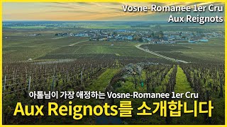 Engsub Vosne Romanee 1er Cru Aux Reignots [upl. by Reinal407]