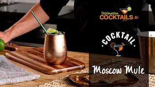 Cocktail vodka  Comment faire un Moscow Mule [upl. by Elockin121]