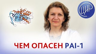 Мутация PAI1  что это Чем опасна Как мутация PAI1 влияет на беременность Дементьева СН [upl. by Nica]