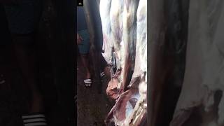 Goat Meat Indian Meat Marketviralvideo goatmeat stg [upl. by Cotsen146]