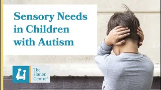 Sensory Needs in Children with Autism [upl. by Andrus]