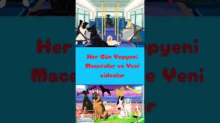 Siyah Köpek ve Sarı Kedi Maceraları Çizgi Film Serisi Eğitici ve Öğretici Masallar Hayvan Sevgisi [upl. by Hakym255]