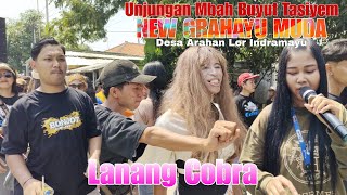 Lanang Cobra Manuk Dangdut New Grahayu Muda‼️ Unjungan Mbah Buyut Tasiyem Arahan Lor Indramayu [upl. by Halstead852]