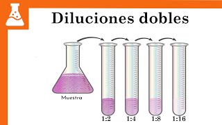 Cómo preparar Diluciones dobles seriadas [upl. by Nyrehtak]