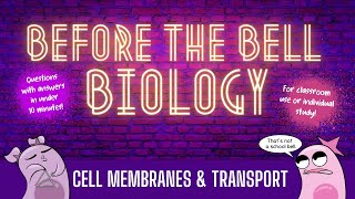 Cell Membranes and Transport Before the Bell Biology [upl. by Xyla]