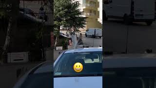 Sen buralara nerden girdin😀 kedi kedisesi keşfet [upl. by Aseeram]