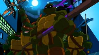 Teenage Mutant Ninja Turtles Theme Song 20122014 with Lyrics TMNT [upl. by Tewell184]