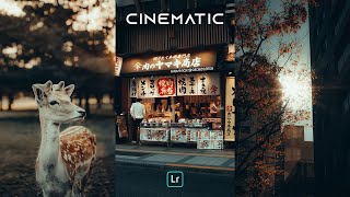 POV CINEMATIC Presets  Lightroom Mobile Preset Free DNG  POV Street Photography Presets [upl. by Allenrad839]