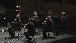 Haydn  Concerto per violoncello e orchestra n 1 Mario Brunello [upl. by Luhem]