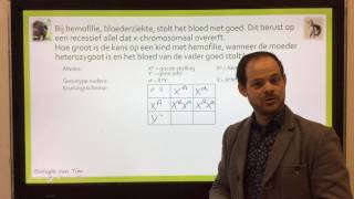 Biologie van Tim  Xchromosomale kruisingen [upl. by Olim]