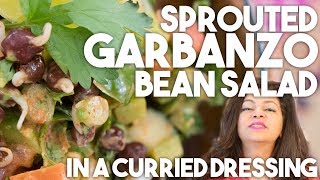 Sprouted GARBANZO BEAN Salad  Healthy Recipe  Kravings [upl. by Vanna]