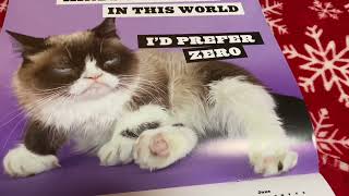 Grumpy Cat Calendar Sarcastically [upl. by Annaerdna]