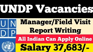 UNDP Jobs Partner WHO UNICEF ll Manager II Salary 37683 ll Indian Can Apply Online ll Job 2023 [upl. by Enirol810]