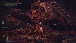 Elden Ring Bayle the Dread quick kill using Milady Funny Igon glitch at end [upl. by Assilam300]