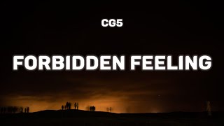 CG5  Forbidden Feeling Lyrics [upl. by Ahsier939]