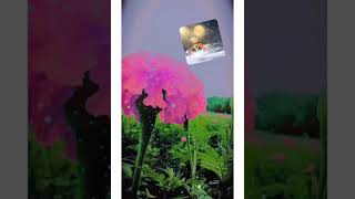 Bagban  Baghon Ke Har Phool Ko Apna Samjhe Baghban Live Richa Sharma Video [upl. by Joshuah]