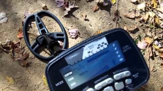 Garrett AT Pro Metal Detector Review amp Depth Test [upl. by Annoda604]