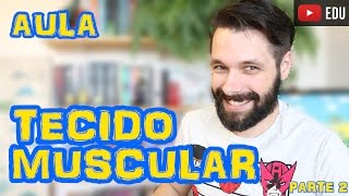 Tecido Muscular  Aula Parte II  Histologia  Biologia com Samuel Cunha [upl. by Aneehsor386]