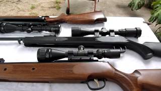 webley osprey air rifle  22 cal review [upl. by Vershen]