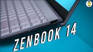 Asus Zenbook 14 UM425UA Review A Safe Bet Ryzen Edition 2021 [upl. by Urbanus]