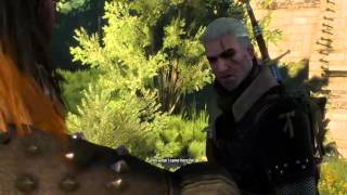 The Witcher 3  Cahir Mawr Dyffyn Aep Ceallach reference [upl. by Nahsyar925]