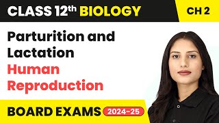 Parturition and Lactation  Human Reproduction  Class 12 Biology Chapter 2  CBSE 202425 [upl. by Ulises]