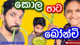 කොල පාටට බෝන්චි උයමුHow to make green bean currySangeeth VlogsSangeeth Satharasinghe [upl. by Lonni]