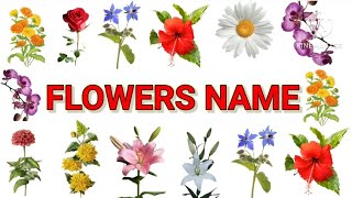 Flowers name  Learn the Names and Pictures of Beautiful Flowers in English  The Little Learners [upl. by Reichert101]