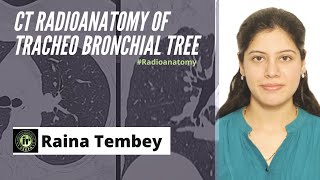 CT TRACHEOBRONCHIAL TREE ANATOMY  RAINA TEMBEY  HRCT CHEST  RADIOANATOMY TRACHEA AND BRONCHI [upl. by Yevad]