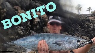 Fishing Lanzarote  lure fishing heaven  Megabass Zonk [upl. by Calvano]