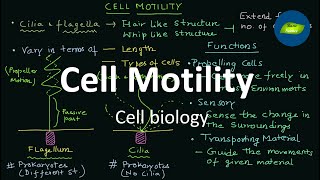 Cell motility  Flagella  Cilia  Functions  Cell Biology  Basic Science Series [upl. by Ytima]