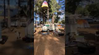 ABC jamboree 2024 flagstaff shoplife campout splitbus vanlife vwbus volkswagenbus classiccar [upl. by Rovert]