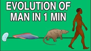 EVOLUTION OF MAN IN 1 MINUTE [upl. by Maurene684]