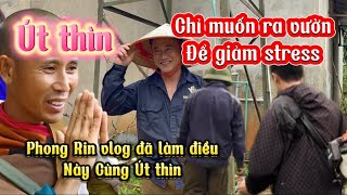 Út Thìn chỉ muốn ra vườn để giảm stress  Phong Rin Vlog lập tức làm điều này cùng Út thìn [upl. by Llewsor]