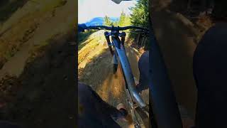 Crabapple Hits Whistlers Biggest Mountain Bike Jumps [upl. by Icyak675]