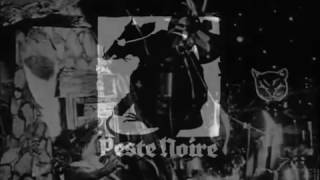 Peste Noire  Le rat de ville et le rat des champs Unofficial Video Clip  ST [upl. by Aizitel]