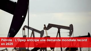 Pétrole  L’Opep anticipe une demande mondiale record en 2025 [upl. by Sineray500]