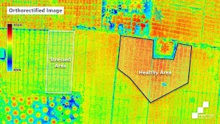 Drones for Precision Agriculture Multispectral Analysis of Vegetation [upl. by Mccahill]