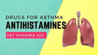 VET PHARMA 2  Drugs for Asthma Antihistamines  Module 207 Student Output [upl. by Ssecnirp]