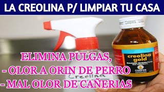 🌺 USOS DE LA CREOLINA para desinfectar y limpiar tu casa [upl. by Lonne]