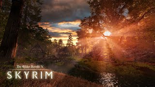 Skyrim Weather Mods Comparison Which One Is Right For You [upl. by Vena783]