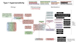 Type I hypersensitivity mechanism of disease [upl. by Ahsilyt]