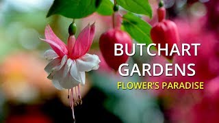 Butchart Gardens  Victoria British Columbia [upl. by Nehgem]