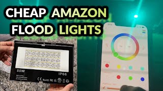 Best budget RGB Flood lights for outside  Melpo smart Bluetooth landscaping lights for backyard [upl. by Aremus340]